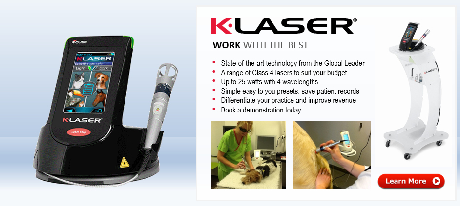 K-Laser Class 4 Therapy Laser